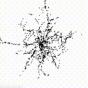 type_of_plants